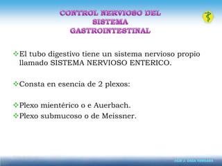 FISIOLOGIA INTESTINALLa superficie de cada vellosidad esta compuesta por células epiteliales, o enterocitos, cuyo extremo libre tiene un borde circular especializado conocido como borde en cepillo. Formado  por unas 600 microvellosidades de una micra de longitud y 0.1 micra de diámetro. Ello aumenta 20 veces la superficie de absorción.