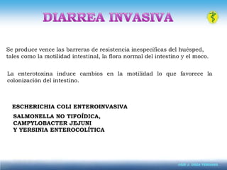 CARACTERÍSTICAS CLÍNICAS<br /><ul><li>Diarreas acuosas (esteatorreicas)