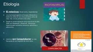 Etiologia
 El rotavirus(( fecal-oral y respiratoria)
 es el principal agente en Europa infectando a
todos los niños en los cinco primeros años de
vida, mas en los primeros dos años.
 Desde la comercialización de la vacuna en el año
2006 son Rotateq® y Rotarix®., disminuyo
rotavirus pero aumento norovirus, astrovirus y
adenovirus.
 ,
 mientras que Campylobacter es más
frecuente en los mayores de cinco años
CAMPILOBACTER
 