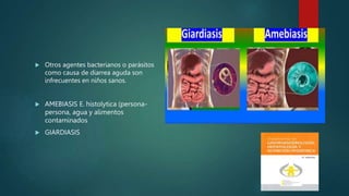  Otros agentes bacterianos o parásitos
como causa de diarrea aguda son
infrecuentes en niños sanos.
 AMEBIASIS E. histolytica (persona-
persona, agua y alimentos
contaminados
 GIARDIASIS
 