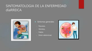SINTOMATOLOGIA DE LA ENFERMEDAD
díaRREICA
 Sintomas generales:
o Nauseas,
o Vómitos,
o Fiebre
o Dolor abdominal.
 