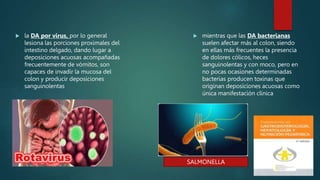  la DA por virus, por lo general
lesiona las porciones proximales del
intestino delgado, dando lugar a
deposiciones acuosas acompañadas
frecuentemente de vómitos, son
capaces de invadir la mucosa del
colon y producir deposiciones
sanguinolentas
 mientras que las DA bacterianas
suelen afectar más al colon, siendo
en ellas más frecuentes la presencia
de dolores cólicos, heces
sanguinolentas y con moco, pero en
no pocas ocasiones determinadas
bacterias producen toxinas que
originan deposiciones acuosas como
única manifestación clínica
SALMONELLA
 