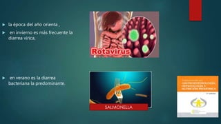  la época del año orienta ,
 en invierno es más frecuente la
diarrea vírica,
 en verano es la diarrea
bacteriana la predominante.
 