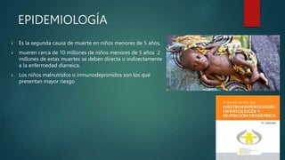 EPIDEMIOLOGÍA
 Es la segunda causa de muerte en niños menores de 5 años,
 mueren cerca de 10 millones de niños menores de 5 años 2
millones de estas muertes se deben directa o indirectamente
a la enfermedad díarreica.
 Los niños malnutridos o inmunodeprimidos son los que
presentan mayor riesgo
 