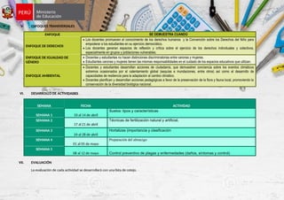 V. ENFOQUES TRANSVERSALES
ENFOQUE SE DEMUESTRA CUANDO
ENFOQUE DE DERECHOS
 Los docentes promueven el conocimiento de los derechos humanos y la Convención sobre los Derechos del Niño para
empoderar a los estudiantes en su ejercicio democrático.
 Los docentes generan espacios de reflexión y crítica sobre el ejercicio de los derechos individuales y colectivos,
especialmente en grupos y poblaciones vulnerables.
ENFOQUE DE IGUALDAD DE
GÉNERO
 Docentes y estudiantes no hacen distinciones discriminatorias entre varones y mujeres.
 Estudiantes varones y mujeres tienen las mismas responsabilidades en el cuidado de los espacios educativos que utilizan.
ENFOQUE AMBIENTAL
 Docentes y estudiantes desarrollan acciones de ciudadanía, que demuestren conciencia sobre los eventos climáticos
extremos ocasionados por el calentamiento global (sequías e inundaciones, entre otros) así como el desarrollo de
capacidades de resiliencia para la adaptación al cambio climático.
 Docentes planifican y desarrollan acciones pedagógicas a favor de la preservación de la flora y fauna local, promoviendo la
conservación de la diversidad biológica nacional.
VI. DESARROLLO DE ACTIVIDADES
SEMANA FECHA ACTIVIDAD
SEMANA 1 10 al 14 de abril
Suelos: tipos y características
SEMANA 2
17 al 21 de abril
Técnicas de fertilización natural y artificial.
SEMANA 3
24 al 28 de abril
Hortalizas (importancia y clasificación
SEMANA 4
01 al 05 de mayo
Preparación del almacigo
SEMANA 5
08 al 12 de mayo Control preventivo de plagas y enfermedades (daños, síntomas y control)
VII. EVALUACIÓN
La evaluación de cada actividad se desarrollará con una lista de cotejo.
 