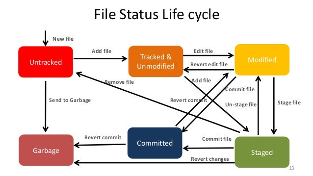 File status life cycle in git - efficient management of code changes. File Status Life Cycle