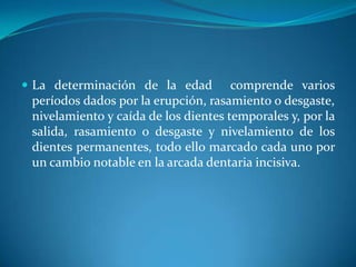 La determinación de la edad  comprende varios períodos dados por la erupción, rasamiento o desgaste, nivelamiento y caída de los dientes temporales y, por la salida, rasamiento o desgaste y nivelamiento de los dientes permanentes, todo ello marcado cada uno por un cambio notable en la arcada dentaria incisiva.