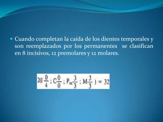 Cuando completan la caída de los dientes temporales y son reemplazados por los permanentes  se clasifican     en 8 incisivos, 12 premolares y 12 molares.