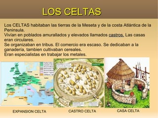 Se organizaban en tribus, gobernadas por un rey.