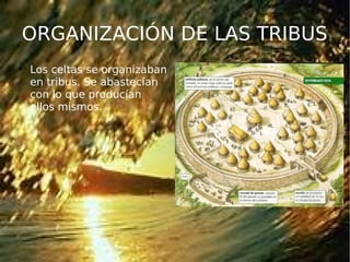 ORGANIZACIÓN DE LAS TRIBUS

Los celtas se organizaban
en tribus. Se abastecían
con lo que producían
ellos mismos.
 