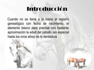 Introducción    Cuando no se tiene a la mano el registro genealógico con fecha de nacimiento, el elemento básico para precisar con bastante aproximación la edad del caballo (en especial hasta los once años) es la dentadura.