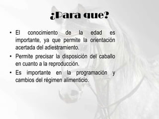 ¿Para que?El conocimiento de la edad es importante, ya que permite la orientación acertada del adiestramiento. Permite precisar la disposición del caballo en cuanto a la reproducción. Es importante en la programación y cambios del régimen alimenticio.