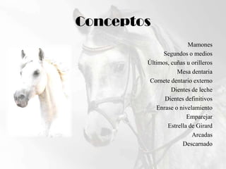 ConceptosMamonesSegundos o mediosÚltimos, cuñas u orillerosMesa dentariaCornete dentario externoDientes de lecheDientes definitivosEnrase o nivelamiento EmparejarEstrella de GirardArcadasDescarnado