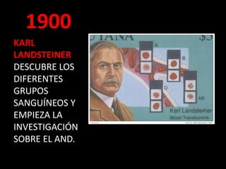 1900
KARL
LANDSTEINER
DESCUBRE LOS
DIFERENTES
GRUPOS
SANGUÍNEOS Y
EMPIEZA LA
INVESTIGACIÓN
SOBRE EL AND.
 