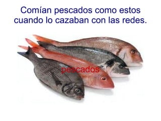 Comían pescados como estos cuando lo cazaban con las redes. pescados 