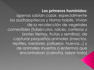 Los primeros homínidos:
     apenas sabían cazar, especialmente
 los australopitecos y Homo habilis. Vivían
            de la recolección de vegetales
comestibles (tubérculos, raíces, cortezas y
         brotes tiernos, frutas y semillas); de
    capturar pequeños animales (insectos,
   reptiles, roedores, polluelos, huevos...) y
     de animales muertos o enfermos que
       encontraban (carroña, sobre todo)
 