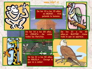 De los 10 a los 15 años, es MONO.... Vive pelando la banana.  De los 31 a los 40 años, es ÁGUILA.... Escoge lo que va a comer.  De los 21 a los 30 años,es  BUITRE....Come todo lo que se aparece.  De los 16 a los 20 años, es JIRAFA....Se come todas las florcitas.  www.klip7.cl 