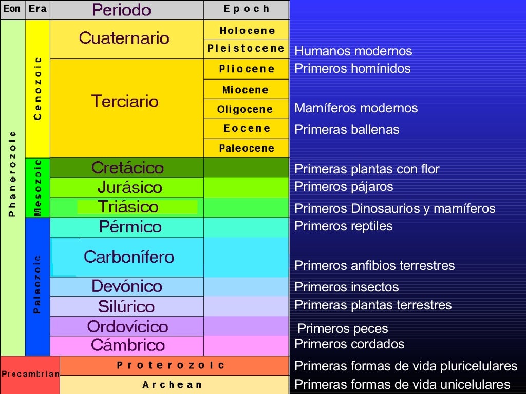 Edades geologicas