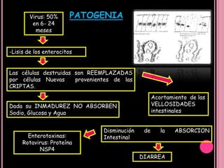 Las diarreas agudas son casi siempre infecciosas