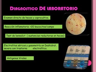 Las bacterias entero invasoras pueden causar DISENTERIApor invasión y destrucción de células epiteliales de la mucosa intestinal, principalmente en el colon y la parte distal del íleo. Esto explica la presencia de sangre visible en las heces, también puede producir una toxina que tiene  actividad, neurotóxica, citotóxica y enterotóxica Diarrea líquida, durante la primera fase de la enfermedad       y  disentería  por la destrucción tisular en el colon, además puede causar convulsiones y otros signos neurológicos. 