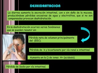 En la evaluación se consideran sólo tres posibilidades: Paciente bien hidratado; Paciente deshidratado, y Paciente con choque hipovolémico por deshidratación, con la presencia de dos o más signos característicos. El resultado, decidirá el plan de tratamiento a seguir. EVALUACIÓN DEL ESTADO DE HIDRATACIÓN