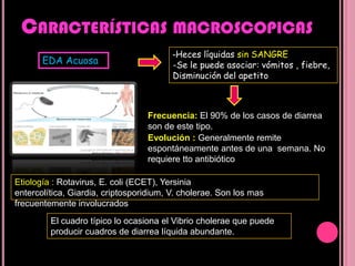 EnterotoxígenaA) BACTERIAS:Campylobacter jejuniSalmonella typhi y  paratyphiYersinia  enterocoliticaShigella spp.