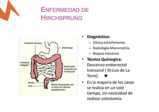 ENFERMEDAD DE
HIRCHSPRUNG
• Diagnóstico:
– Clínica estreñimiento.
– Radiología-Manometría.
– Biopsia intestinal.
• Técnica Quirúrgica:
Descenso endorrectal
transanal ( Dr.Luis de La
Torre). ★
• En la mayoría de los casos
se realiza en un sólo
tiempo, sin necesidad de
realizar colostomía.
 