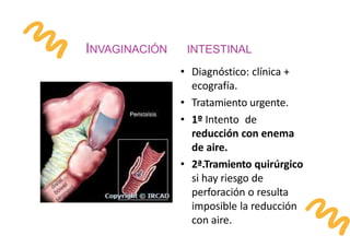 INVAGINACIÓN INTESTINAL
• Diagnóstico: clínica +
ecografía.
• Tratamiento urgente.
• 1º Intento de
reducción con enema
de aire.
• 2ª.Tramiento quirúrgico
si hay riesgo de
perforación o resulta
imposible la reducción
con aire.
 