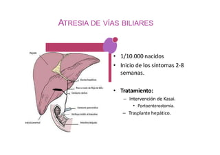 ATRESIA DE VÍAS BILIARES
• 1/10.000 nacidos
• Inicio de los síntomas 2-8
semanas.
• Tratamiento:
– Intervención de Kasai.
• Portoenterostomía.
– Trasplante hepático.
 