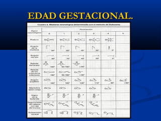 EDAD GESTACIONAL.
 