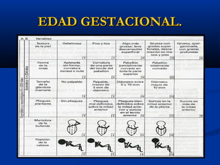 EDAD GESTACIONAL.
 