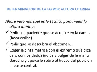 DETERMINACIÓN DE LA EG POR ALTURA UTERINA
Ahora veremos cual es la técnica para medir la
altura uterina:
Pedir a la paciente que se acueste en la camilla
(boca arriba).
Pedir que se descubra el abdomen.
Coger la cinta métrica con el extremo que dice
cero con los dedos índice y pulgar de la mano
derecha y apoyarlo sobre el hueso del pubis en
la parte central.
 