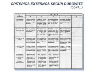 Edad gestacional wecb 2021 a | PPT