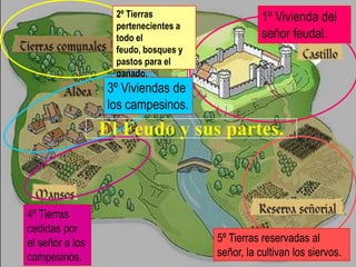 2º Tierras                    1º Vivienda del
                   pertenecientes a
                   todo el                       señor feudal.
                   feudo, bosques y
                   pastos para el
                   ganado.
                  3º Viviendas de
                  los campesinos.
                 El Feudo y sus partes.



4º Tierras
cedidas por
el señor a los                        5º Tierras reservadas al
campesinos.                           señor, la cultivan los siervos.
 