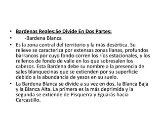 • Bardenas Reales:Se Divide En Dos Partes:
•      -Bardena Blanca
• Es la zona central del territorio y la más desértica. Su
  relieve se caracteriza por extensas zonas llanas, profundos
  barrancos por cuyo fondo corren los ríos estacionales, y los
  rellenos de fondo de valle en los que sobresalen los
  cabezos. Esta Bardena debe su nombre a la presencia de
  sales blanquecinas que se extienden por su superficie
  debido a la abundancia de yesos en su suelo.
• La Bardena Blanca se divide a su vez en dos, la Blanca Baja
  y la Blanca Alta. La primera es la más deprimida y la
  segunda se extiende de Pisquerra y Eguarás hacia
  Carcastillo.
 