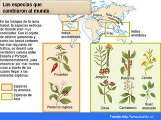 Fuente:http://www.icarito.cl/
 