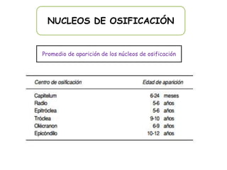 NUCLEOS DE OSIFICACIÓN


Promedio de aparición de los núcleos de osificación
 