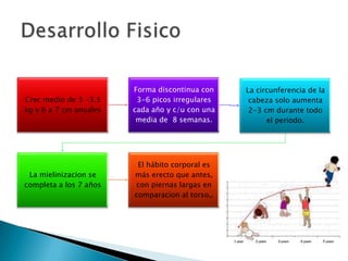 Forma discontinua con    La circunferencia de la
Crec medio de 3 -3.5     3-6 picos irregulares    cabeza solo aumenta
kg y 6 a 7 cm anuales   cada año y c/u con una    2-3 cm durante todo
                         media de 8 semanas.           el periodo.




                         El hábito corporal es
 La mielinizacion se    más erecto que antes,
completa a los 7 años   con piernas largas en
                        comparacion al torso,.
 