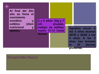 +   Al final del 2do
    año se frena el
    crecimiento
    somático        y   2 y 5 años: 2kg y 7
    cefálico    (dism   cm         anuales,
    nutricional     y   cuerpo se estiliza,   Agudeza visual: a
    apetito).           sueño 11-13 horas     los 3 años alcanza
                        diarias               20/30 y 20/20 a los
                                              4 años. A los 3
                                              años han brotado
                                              lo    20    dientes
                                              primarios.


Desarrollo físico
 