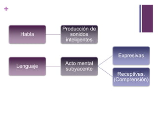 +

               Producción de
     Habla        sonidos
                inteligentes


                                Expresivas
                Acto mental
    Lenguaje
                subyacente
                                 Receptivas.
                               (Comprensión)
 