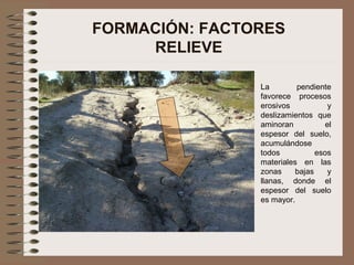FORMACIÓN: FACTORES
RELIEVE
La pendiente
favorece procesos
erosivos y
deslizamientos que
aminoran el
espesor del suelo,
acumulándose
todos esos
materiales en las
zonas bajas y
llanas, donde el
espesor del suelo
es mayor.
 