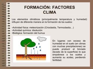 FORMACIÓN: FACTORES
CLIMA
Los elementos climáticos (principalmente temperatura y humedad)
influyen de diferente manera en la formación de los suelos:
-Actividad física: meteorización (Crioclastia, Termoclastia…)
-Actividad química: disolución
-Biológica: formación del humus
En lugares con exceso de
humedad en el suelo (en climas
con muchas precipitaciones) se
puede producir el lixiviado
(lavado de la superficie) lo que
empobrece a los suelos y
aumenta su acidez, perdiendo
fertilidad.
 