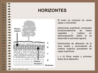 HORIZONTES
El suelo se compone de varias
capas u horizontes:
a)Horizonte superficial, compuesto
fundamentalmente de restos
vegetales y materia en
descomposición. Sobre el se
desarrolla la actividad agraria.
b)Horizontes de alteración de la
roca madre y acumulación de
materia orgánica procedente de
capas superiores.
c y d) Roca madre y primeras
fases de la alteración.
Fuente: elaboración propia
 