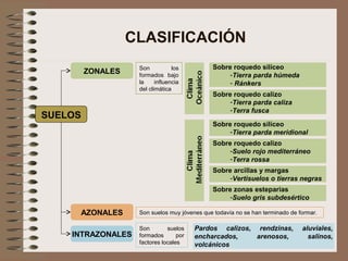 CLASIFICACIÓN
SUELOS
ZONALES
AZONALES
INTRAZONALES
Son los
formados bajo
la influencia
del climática
Son suelos muy jóvenes que todavía no se han terminado de formar.
Son suelos
formados por
factores locales
Sobre roquedo silíceo
-Tierra parda húmeda
- Ránkers
Sobre roquedo calizo
-Tierra parda caliza
-Terra fusca
Sobre roquedo silíceo
-Tierra parda meridional
Sobre roquedo calizo
-Suelo rojo mediterráneo
-Terra rossa
Sobre arcillas y margas
-Vertisuelos o tierras negras
Sobre zonas esteparias
-Suelo gris subdesértico
Pardos calizos, rendzinas, aluviales,
encharcados, arenosos, salinos,
volcánicos
 