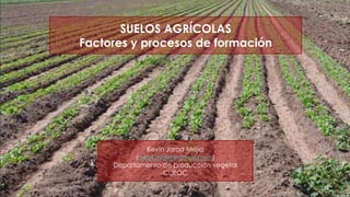 SUELOS AGRÍCOLAS
Factores y procesos de formación
Kevin Jarod Mejía
(maskmejia@gmail.com)
Departamento de producción vegetal
CUROC
 