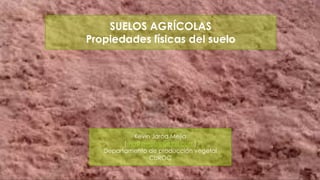 SUELOS AGRÍCOLAS
Propiedades físicas del suelo

Kevin Jarod Mejía
(maskmejia@gmail.com)
Departamento de producción vegetal
CUROC

 