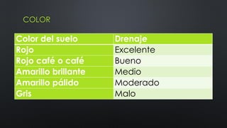 COLOR

Color del suelo
Rojo
Rojo café o café
Amarillo brillante
Amarillo pálido
Gris

Drenaje
Excelente
Bueno
Medio
Moderado
Malo

 