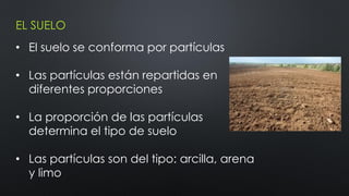EL SUELO

• El suelo se conforma por partículas
• Las partículas están repartidas en
diferentes proporciones
• La proporción de las partículas
determina el tipo de suelo
• Las partículas son del tipo: arcilla, arena
y limo

 