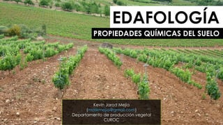 EDAFOLOGÍA
PROPIEDADES QUÍMICAS DEL SUELO

Kevin Jarod Mejía
(maskmejia@gmail.com)
Departamento de producción vegetal
CUROC

 