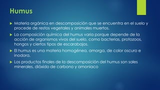 Humus


Materia orgánica en descomposición que se encuentra en el suelo y
procede de restos vegetales y animales muertos.



La composición química del humus varia porque depende de la
acción de organismos vivos del suelo, como bacterias, protozoos,
hongos y ciertos tipos de escarabajos.



El humus es una materia homogénea, amorga, de color oscuro e
inodora.



Los productos finales de la descomposición del humus son sales
minerales, dióxido de carbono y amoniaco

 